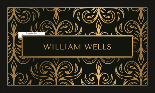 Professional Business Card